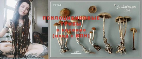 кокаин колумбия Белокуриха