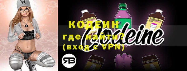 шишки Белоозёрский