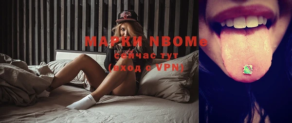 шишки Белоозёрский
