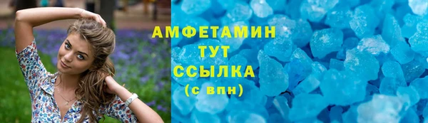 шишки Белоозёрский