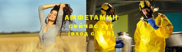 шишки Белоозёрский