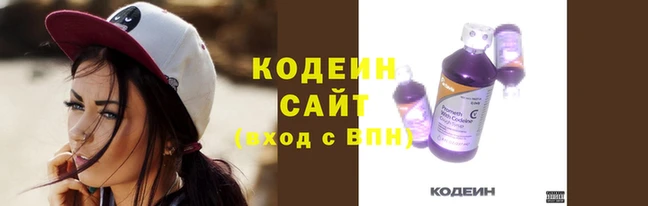 шишки Белоозёрский