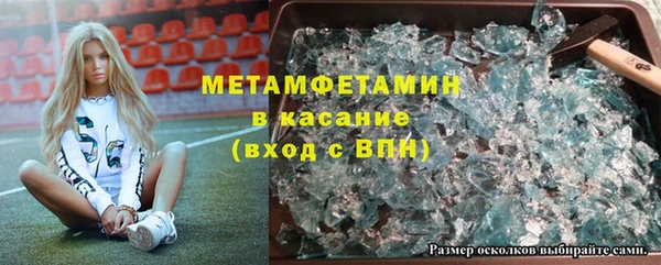 шишки Белоозёрский