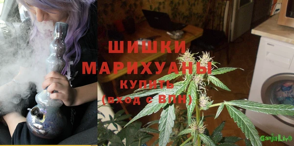 шишки Белоозёрский